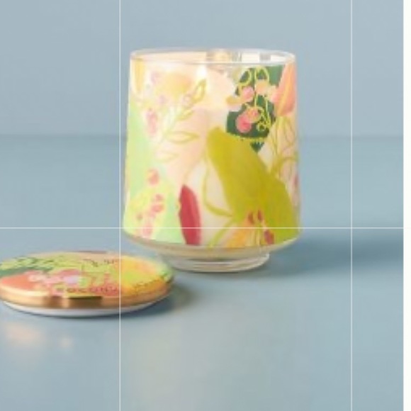 Anthropologie Other - New anthropologie Spring’s  Eden glass candle coconut milk mango!